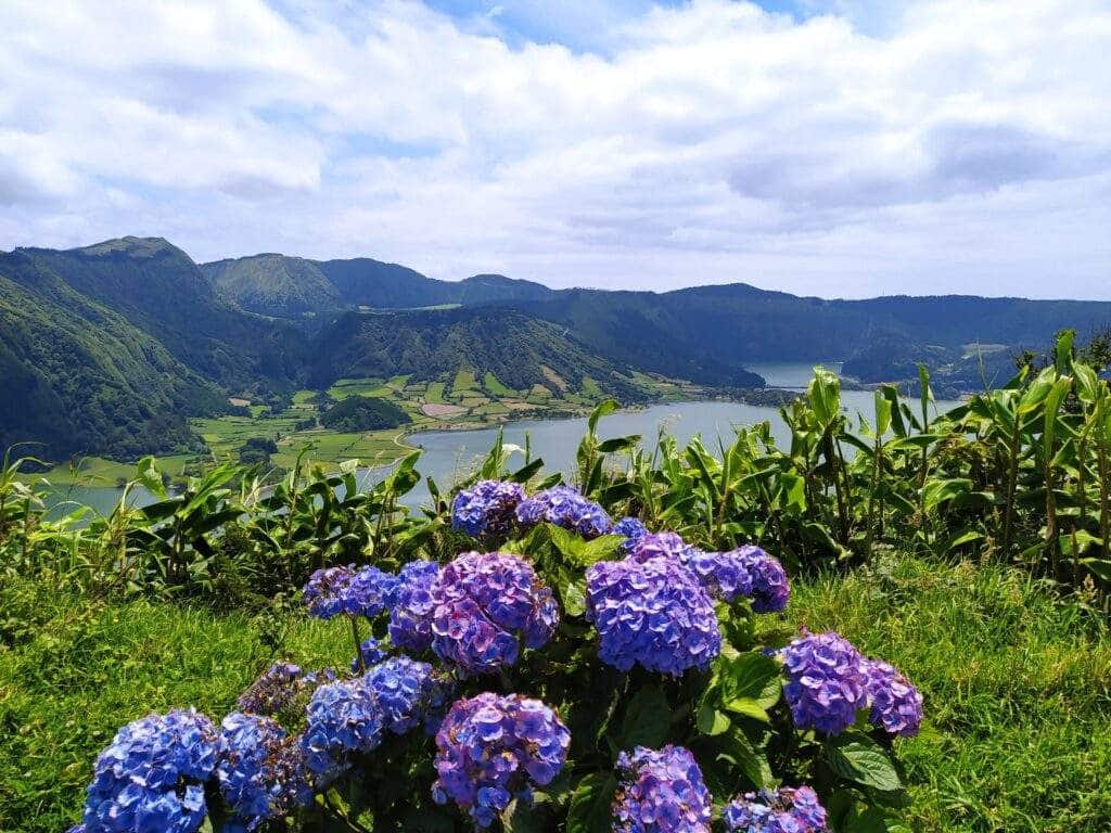 Flores de Azores