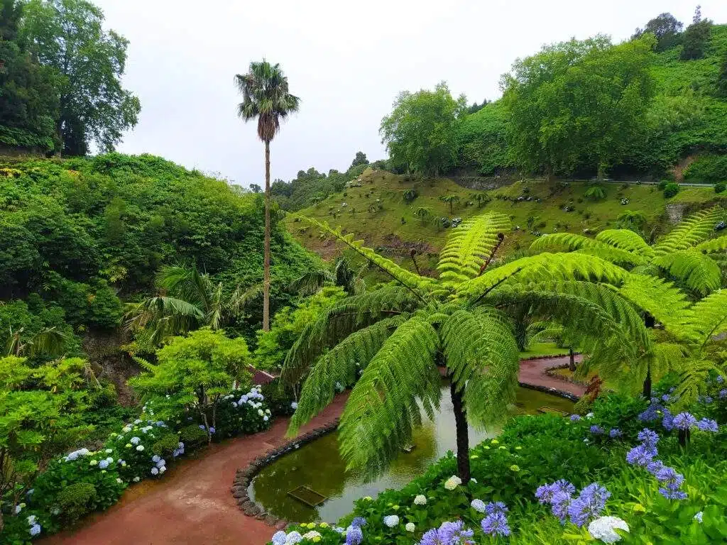 Jardín Botánico, Sao Miguel