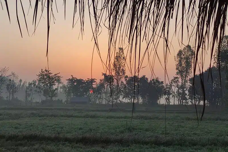 3 semanas en Nepal: Bardia