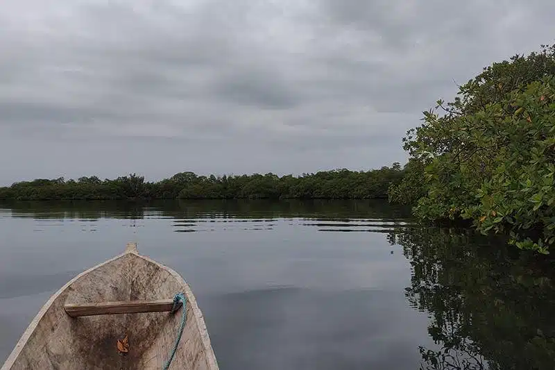 2 semanas en Panamá: Bocas del Toro