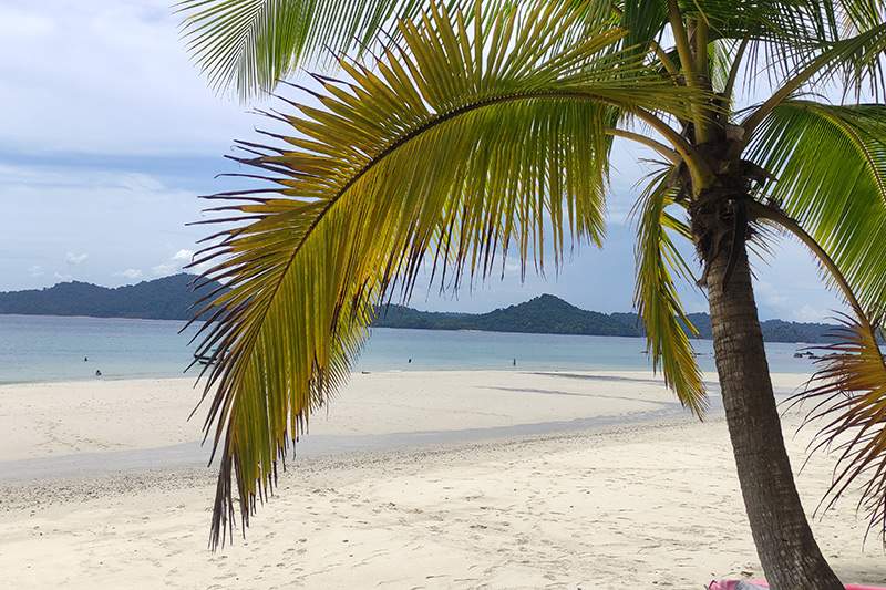 2 semanas en Panamá: coiba