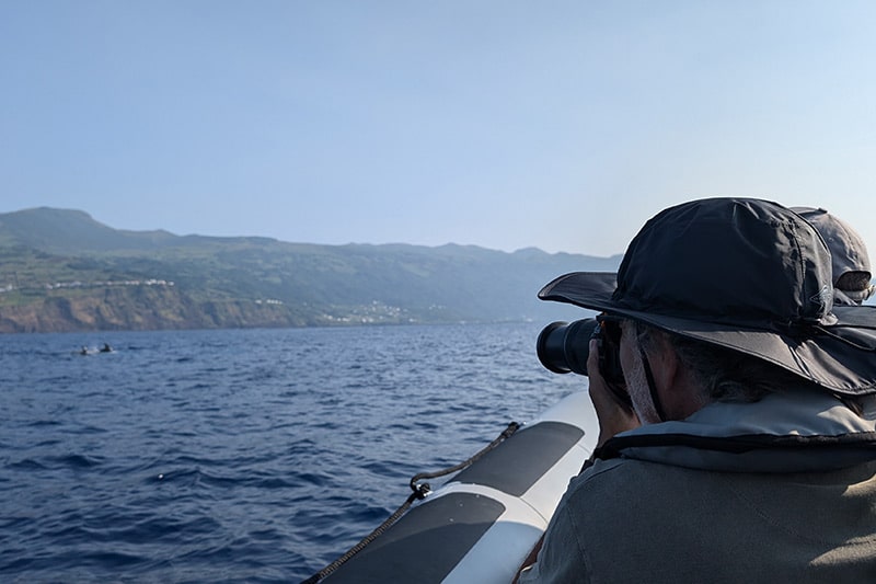 observacion de ballenas