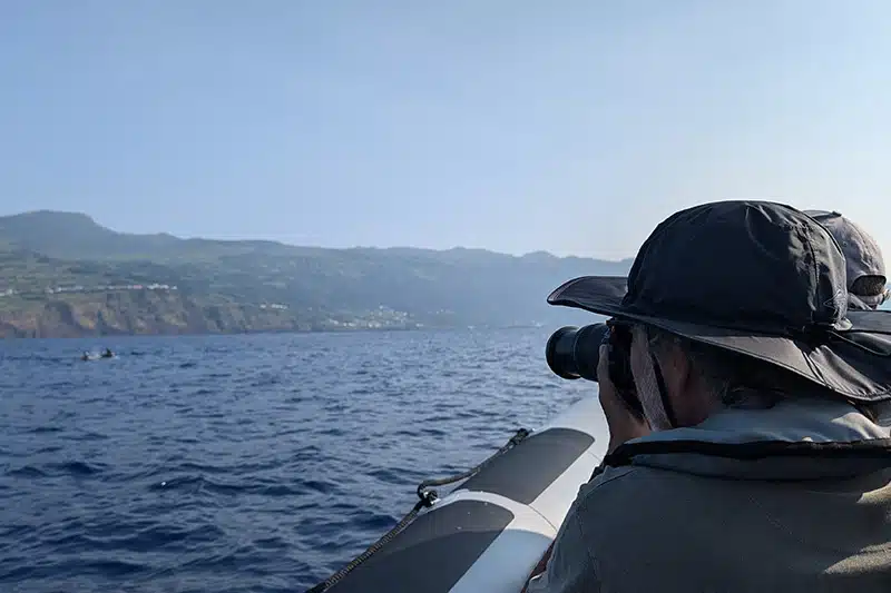 observacion de ballenas