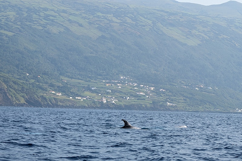 10 experiencias para realizar en las Islas Azores