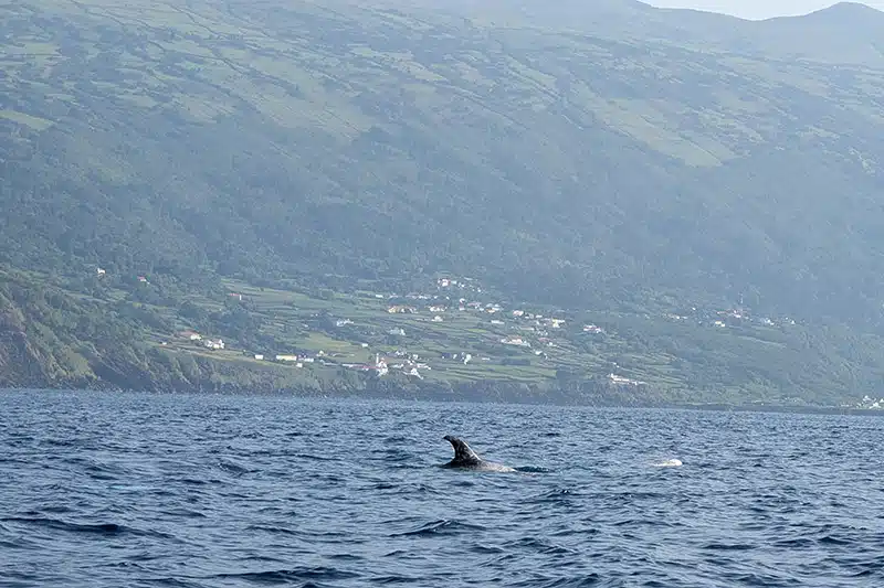 10 experiències per fer a les Illes Açores