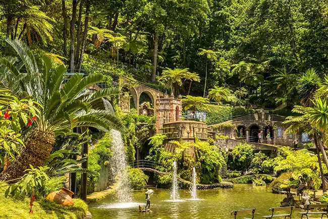 jardín-botánico jardin botánico de funchal, madeira