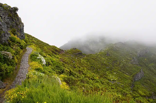 trek-madeira trek madeira