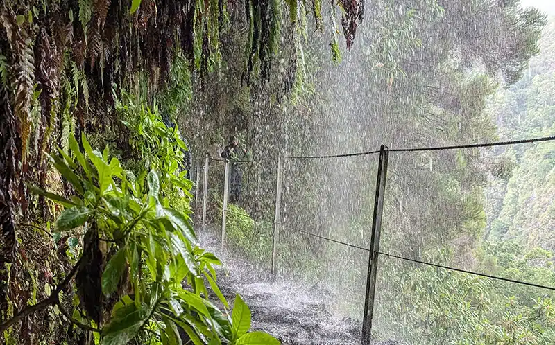 caldeirao verde, Madeira