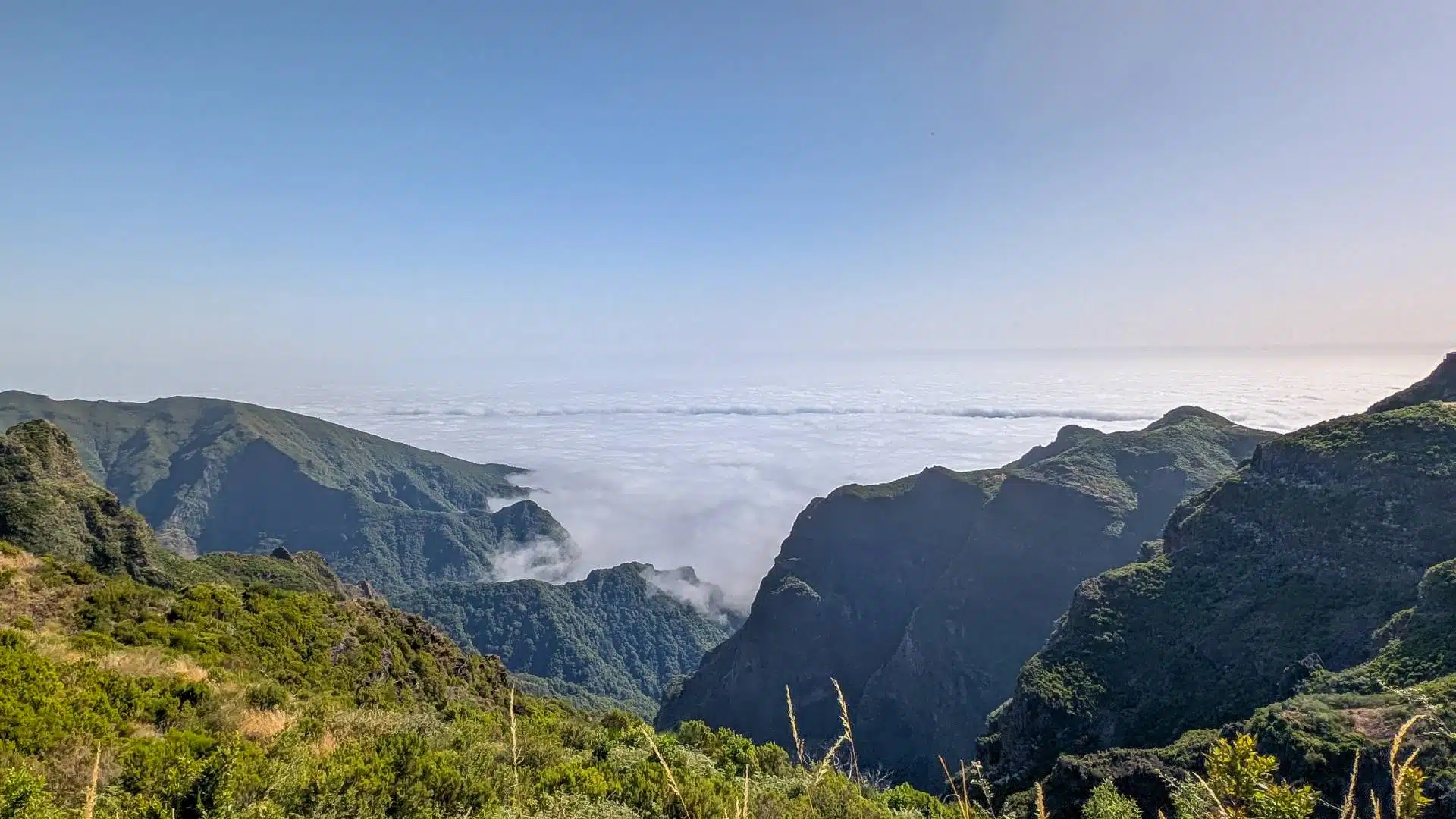 Madeira desde arriba
