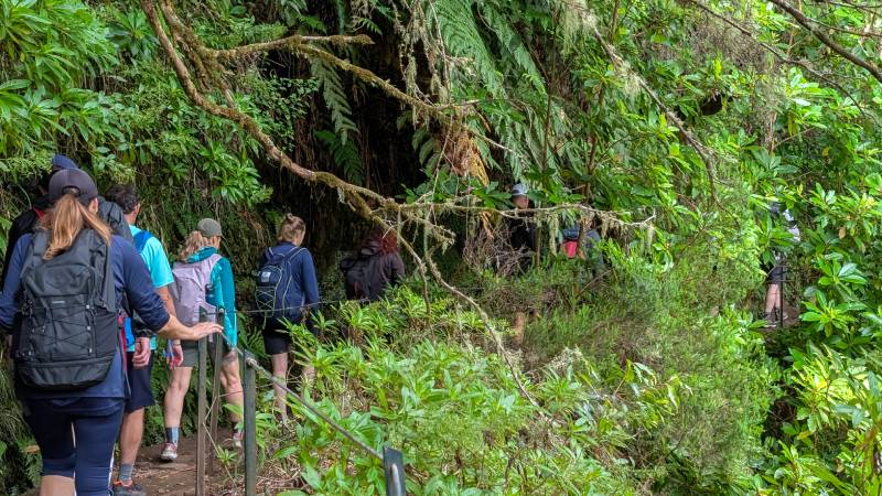 Trek Madeira